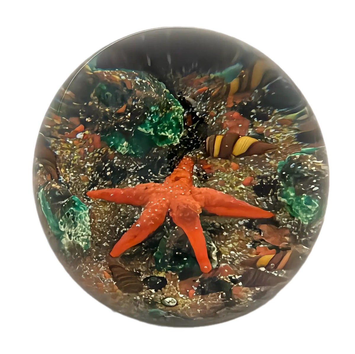 1981 Peter Holmes Sea Bed