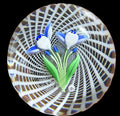 1975 Baccarat paperweight depicting 2 happy blue ands white cornflowers with 3 flower buds on green stems.&nbsp; &nbsp;The flowers sit atop a wide-weaved latticinio basket. B date cane 1975 at stem base and Baccarat stamp with edition number on base. 2/260. 3.12"