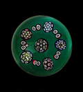 2010 Peter Holmes Millefiori on Green Ground