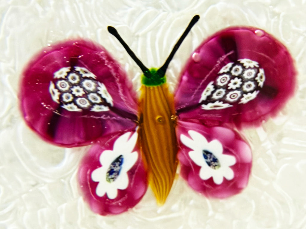Paul Ysart (PY) Pink Butterfly Muslin Ground