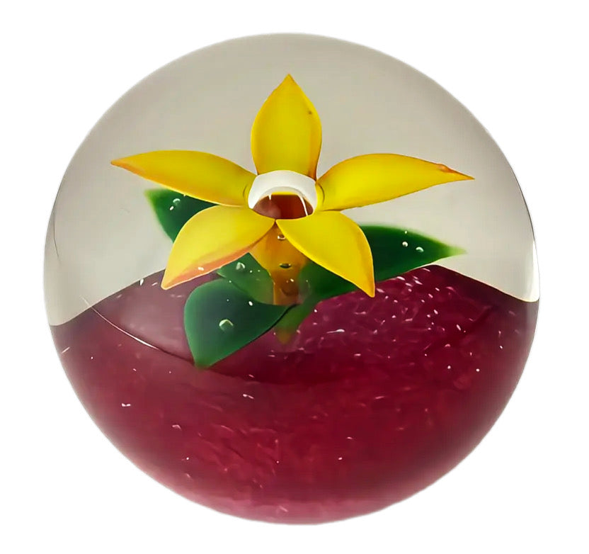 Peter Holmes Yellow Upright Flower