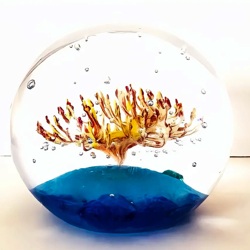 2025 Holmes Glass Coral