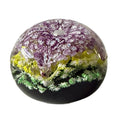 2000 Perthshire Mardi Gras Limited Edition