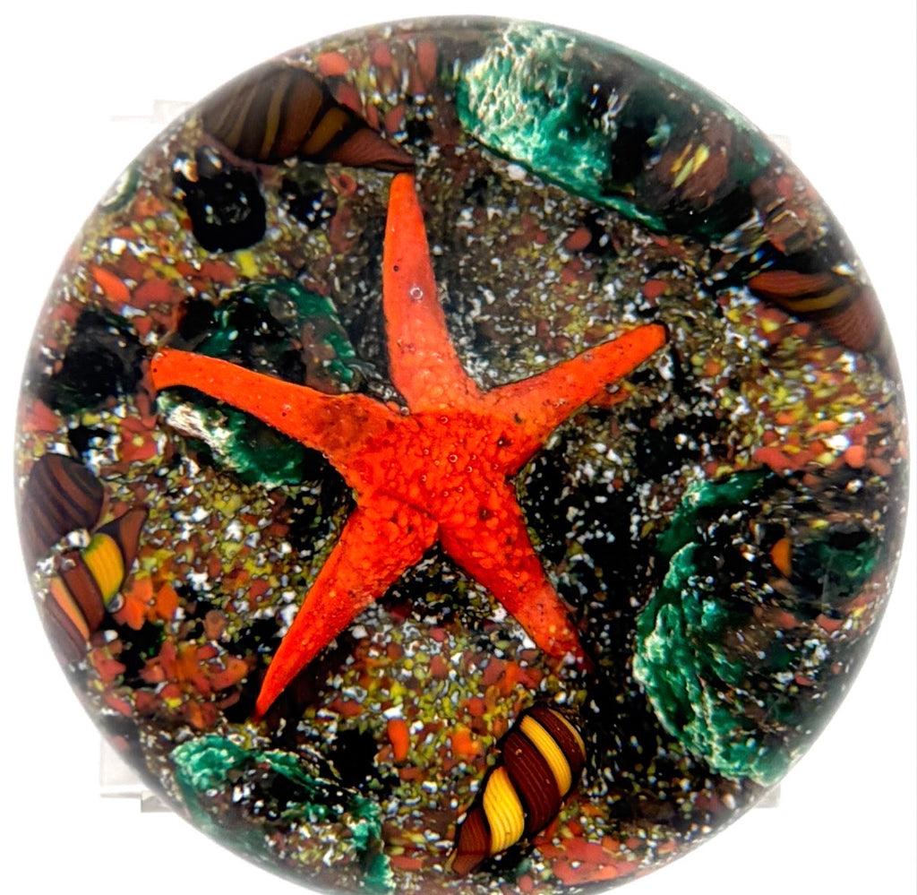 1981 Peter Holmes Sea Bed