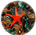 1981 Peter Holmes Sea Bed
