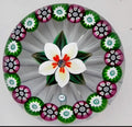 2025 Holmes Glass White Flower