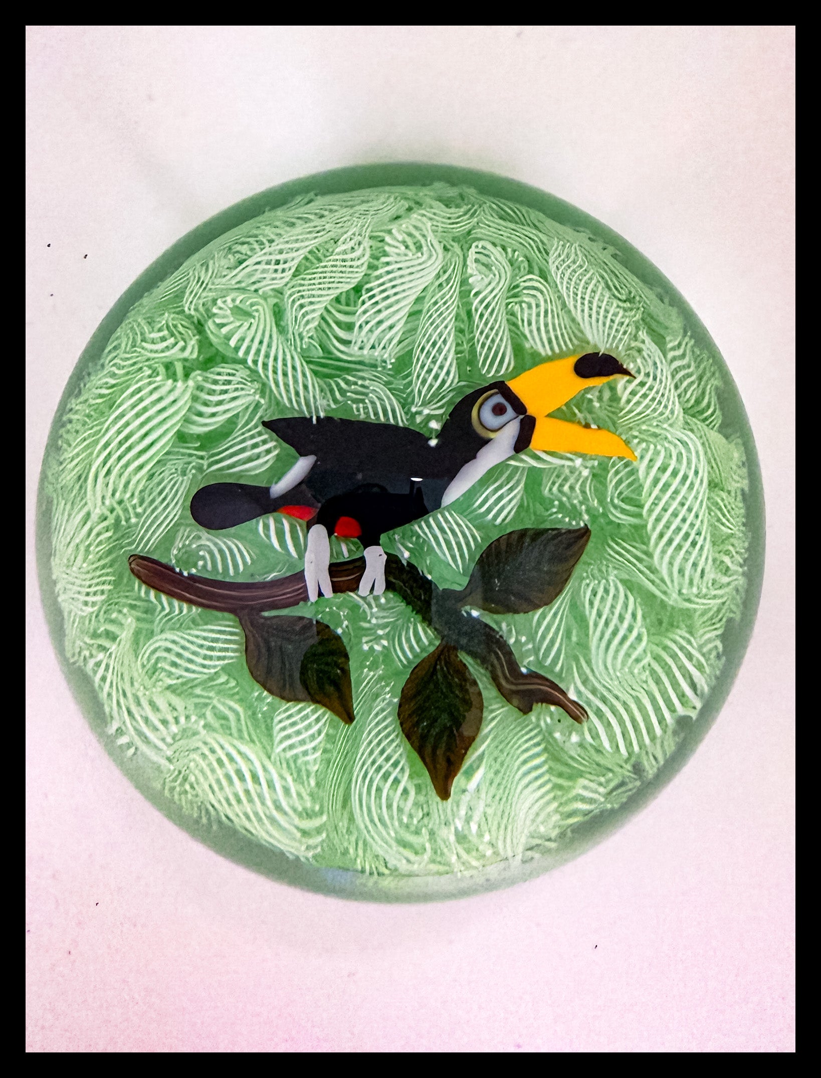 John Deacons Toucan
