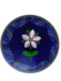Peter Holmes Purple/White Flower, Blue Ground