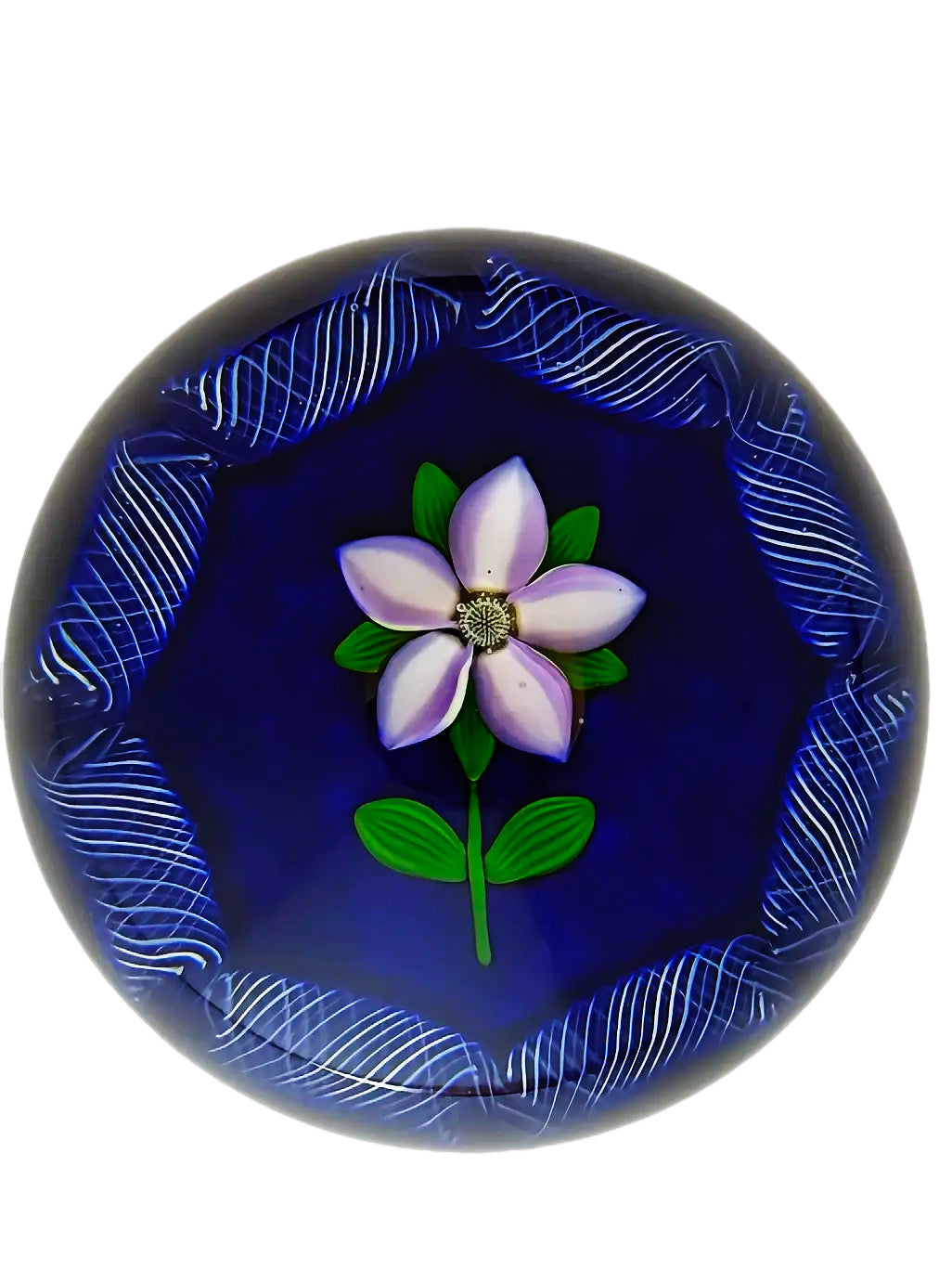 Peter Holmes Purple/White Flower, Blue Ground
