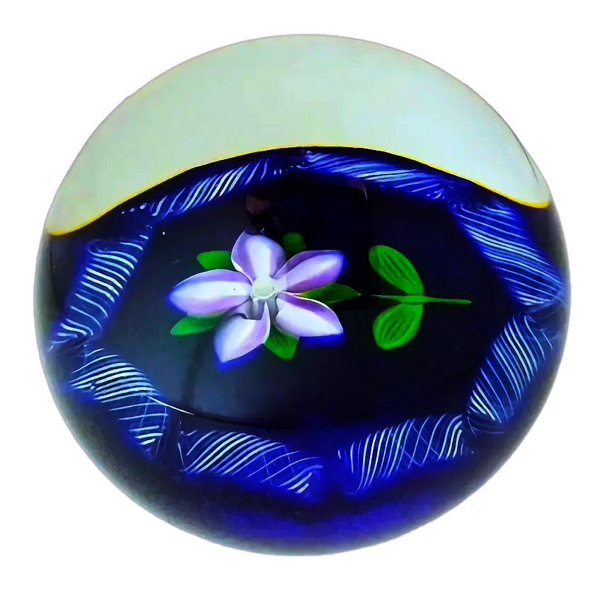 Peter Holmes Purple/White Flower, Blue Ground