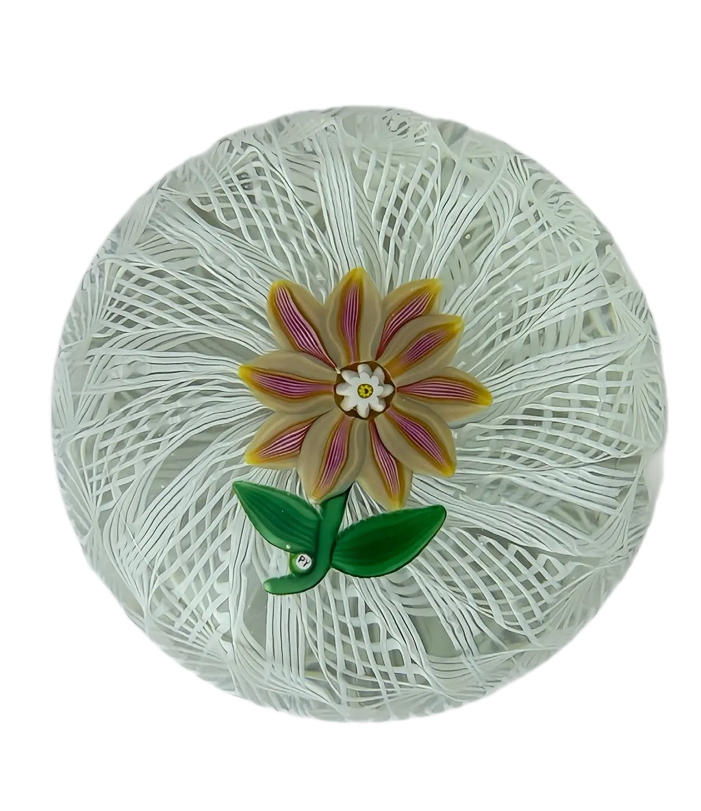 Paul Ysart Yellow & Pink Double Clematis om Laticcinno basket