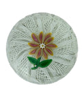 Paul Ysart Yellow & Pink Double Clematis om Laticcinno basket