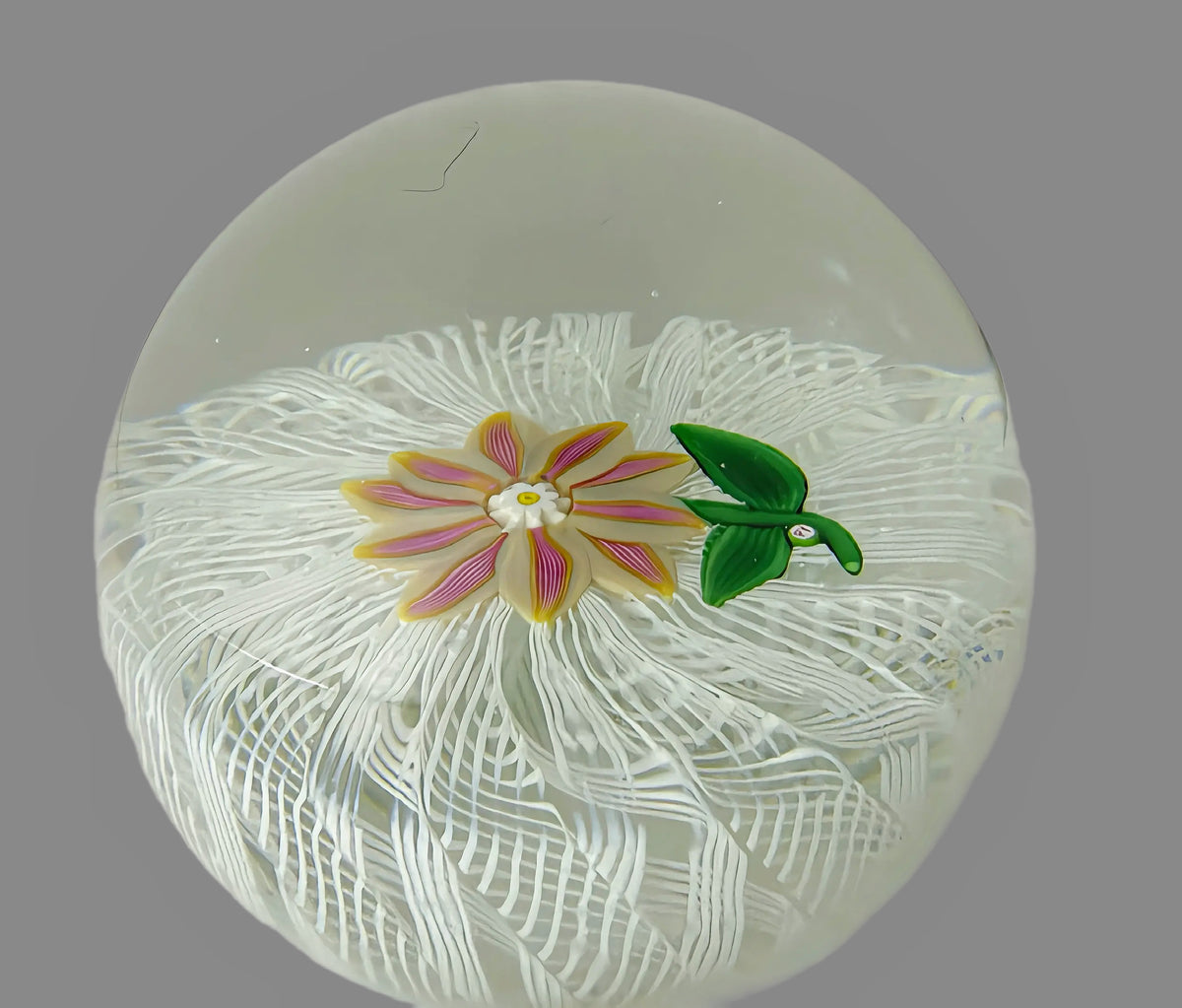 Paul Ysart Yellow & Pink Double Clematis om Laticcinno basket