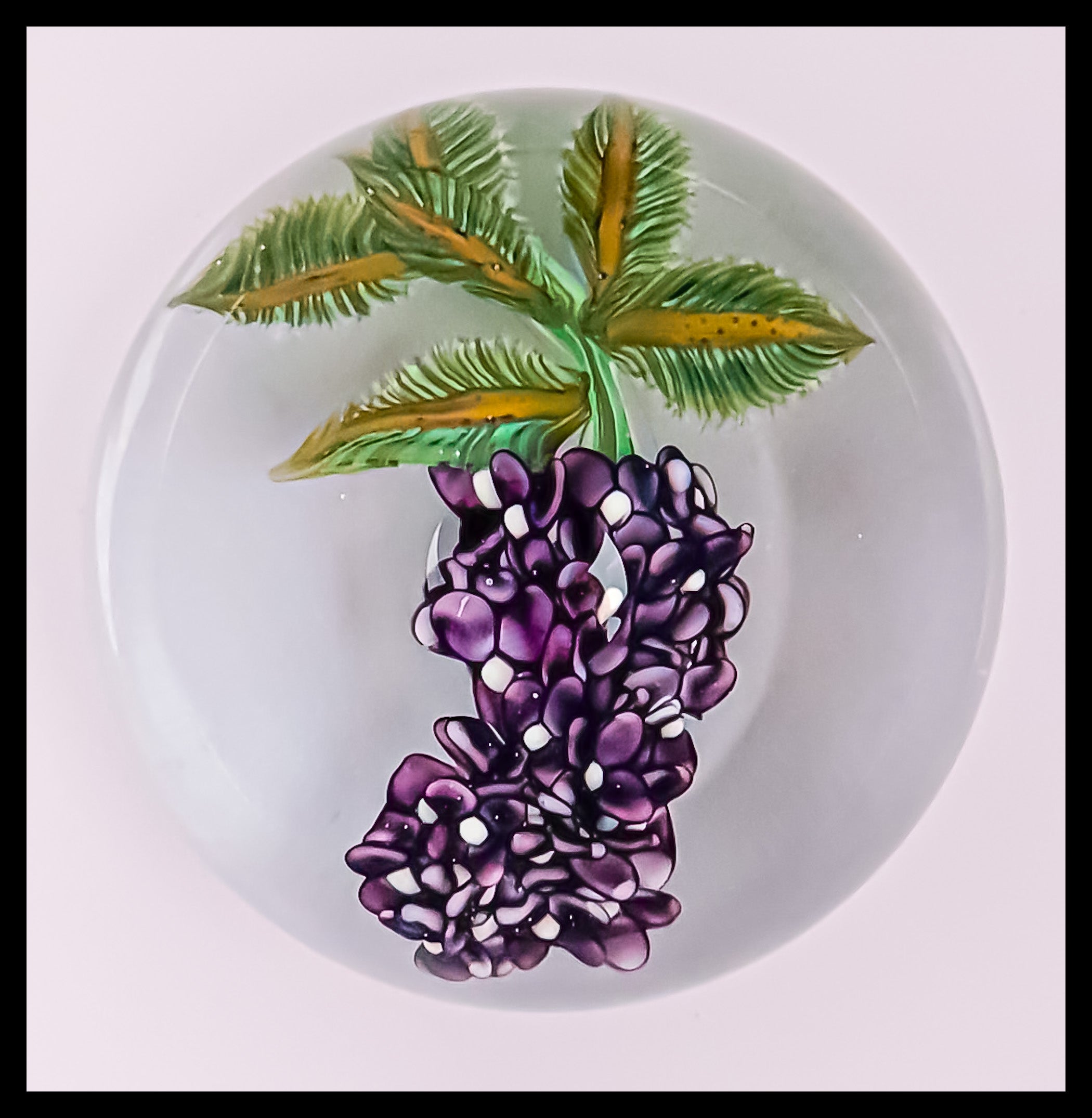 2025 Lilac Flower and branch  by William Manson.