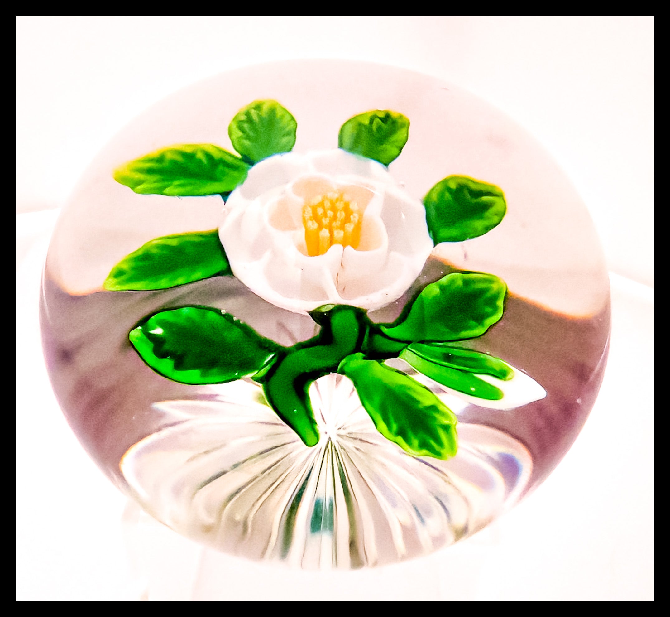 Antique Baccarat Buttercup with bud