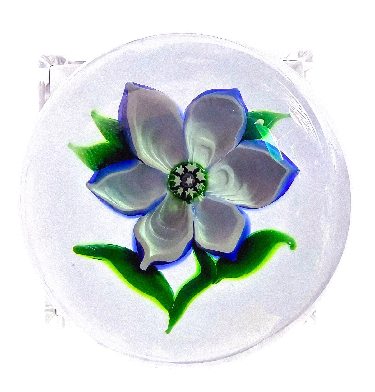 1979 John Deacons/J Glass Baccarat Style white anemone wuith blue tipped petals, 4 leaves on hardy green stem, polished hollow ground base. Center complex cane of stars, Cupped and ridged petals in the Classic Baccarat Style signature/date cane in base-J 1979. 2 1/8"