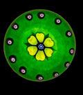 Peter Holmes Yellow Flowerhead/Green Ground