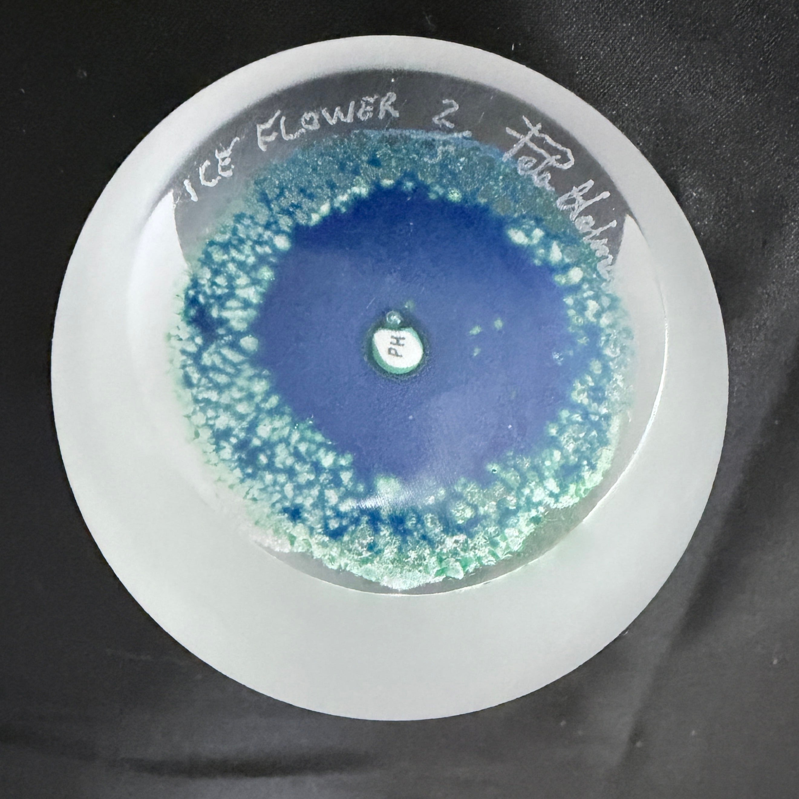 Holmes Glass, Ice Flower, 2025