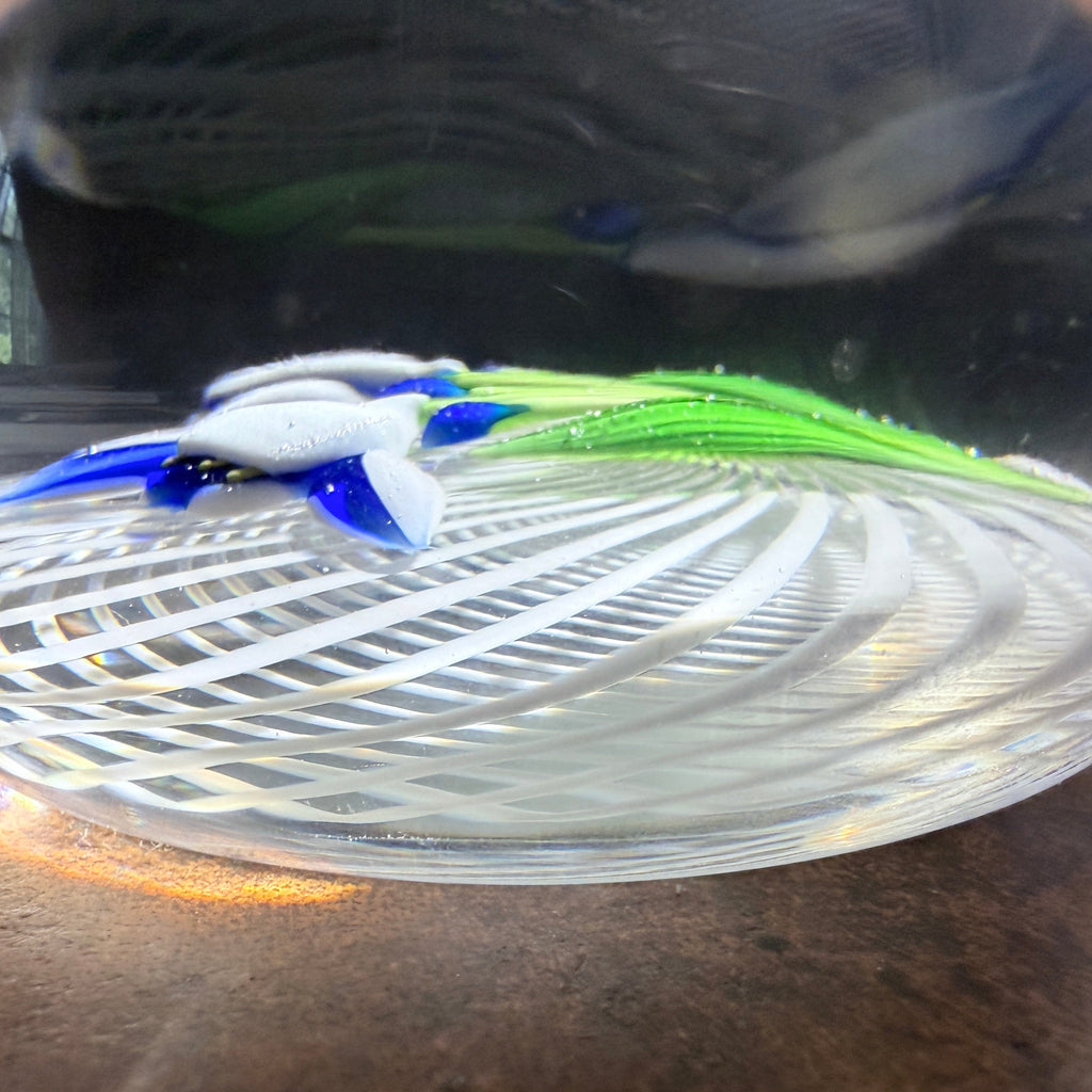 1975 Baccarat paperweight depicting 2 happy blue ands white cornflowers with 3 flower buds on green stems.&nbsp; &nbsp;The flowers sit atop a wide-weaved latticinio basket. B date cane 1975 at stem base and Baccarat stamp with edition number on base. 2/260. 3.12"