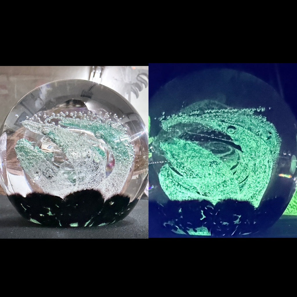 Rhapsody Reflection 2025