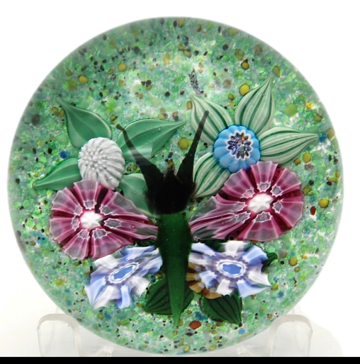 2025 Large Butterfly on Green Ground by Craig Deacons