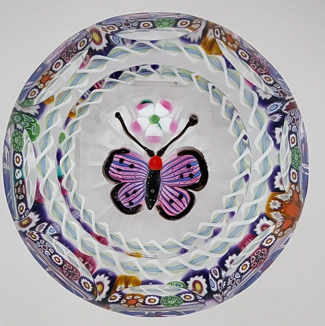 2025 Butterfly, Flower & Torsade by Peter Holmes