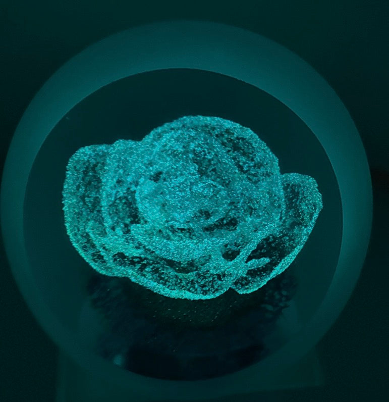 2025 Ice Flower by Peter Holmes