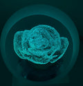 2025 Ice Flower by Peter Holmes