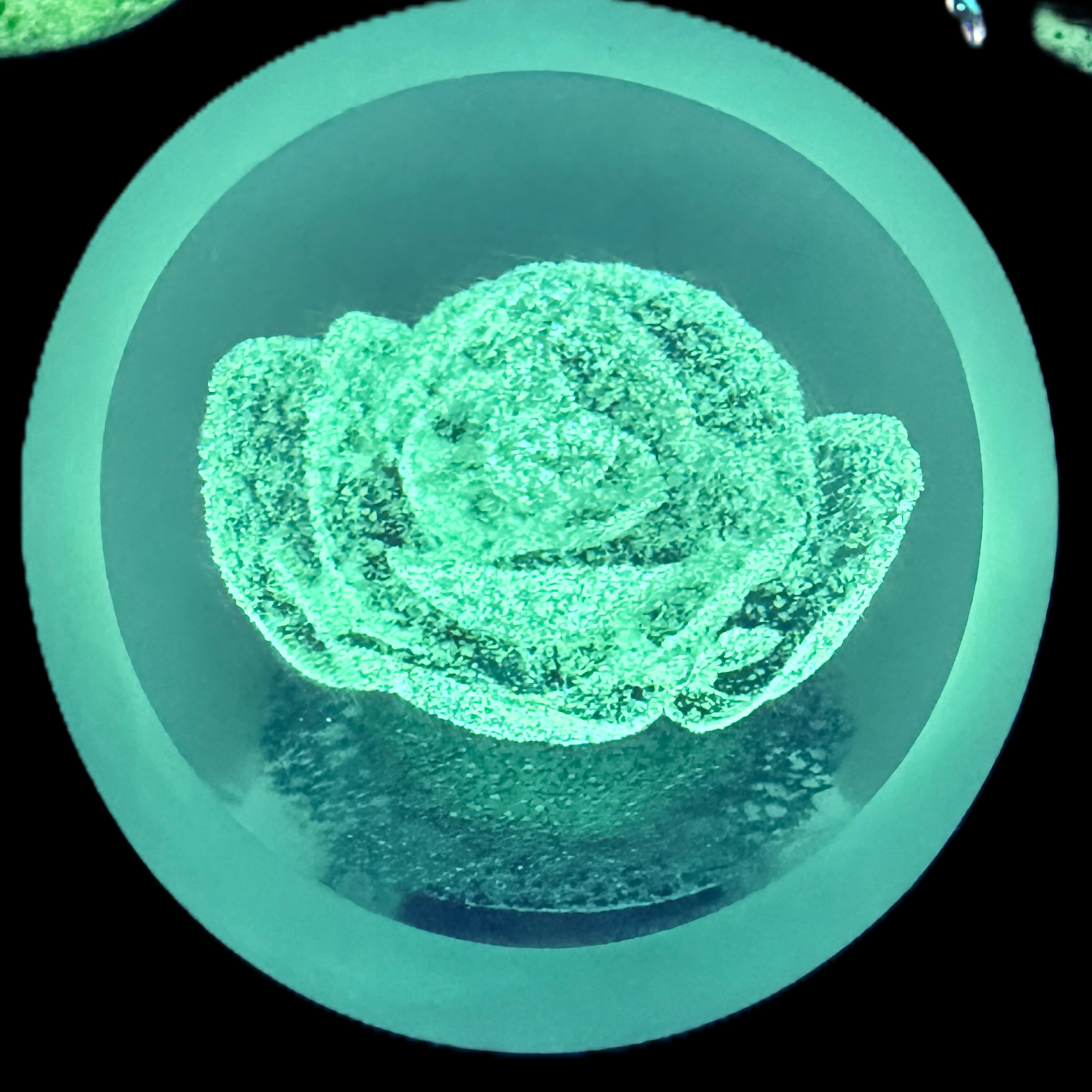 Made by Peter Holmes in 2025, Holmes glass is Ice Flower number two in an edition of five. Ice crystals form the shape of a rose, like a flower. This piece will glow in the dark after exposure to sunlight or UV light. PH signature cane scratch signed on the base.&nbsp;