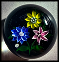 1979 J Glass Blue, yellow and pink flowerheads with stardust center canes atop an opaque black ground, J 1979 cane floats next to the blue flowerhead. Delicate lampwork at it;s finest with wonderfully cupped petals on each flower.&nbsp; A near perfect weight at a great price, easily one of the best among it's contemporaries in 1979.&nbsp; 2 1/4"