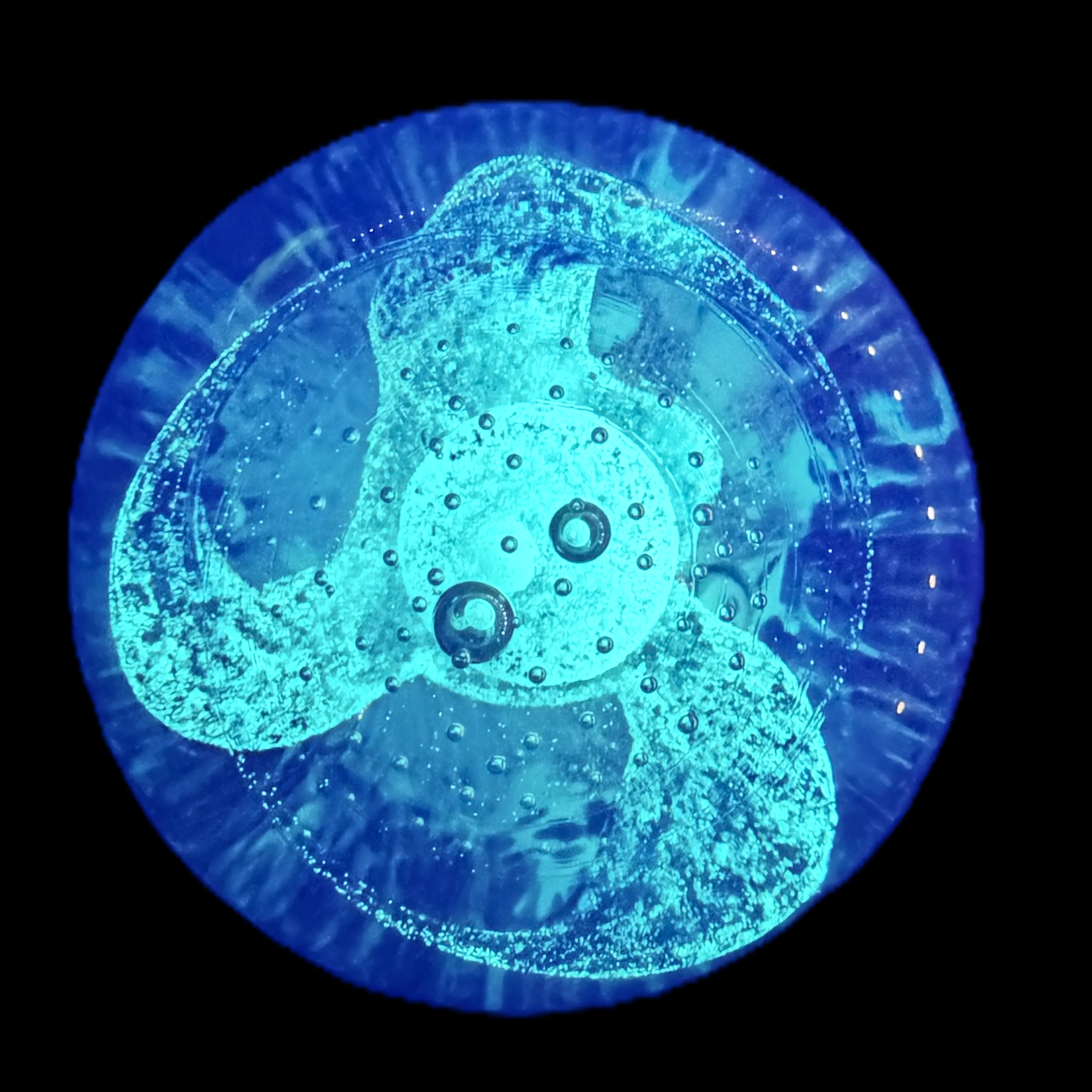 Made by Peter Holmes in 2025 at Holmes Glass, is this number 2 in an edition of 5 by the name of Purple Whisp, delicate wisps encircle its treasure. This weight glows in the dark just by being exposed to sunlight as well as UV light.