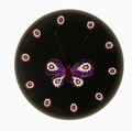Made by Peter Holmes in 1985 is this purple and white millefiori butterfly atop an&nbsp; opaque black ground. a spaced cane garland with canes identicile to those used for the wings extends around the outer perimeter of the weight.&nbsp; 3" 198/250