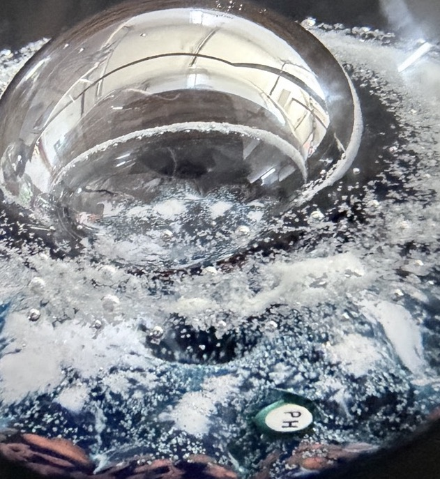 Silver Planet 2025