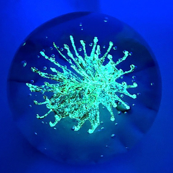2025 Holmes Glass Coral