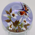 2025 Butterfly and White Flowers on lilac ground. By William Manson