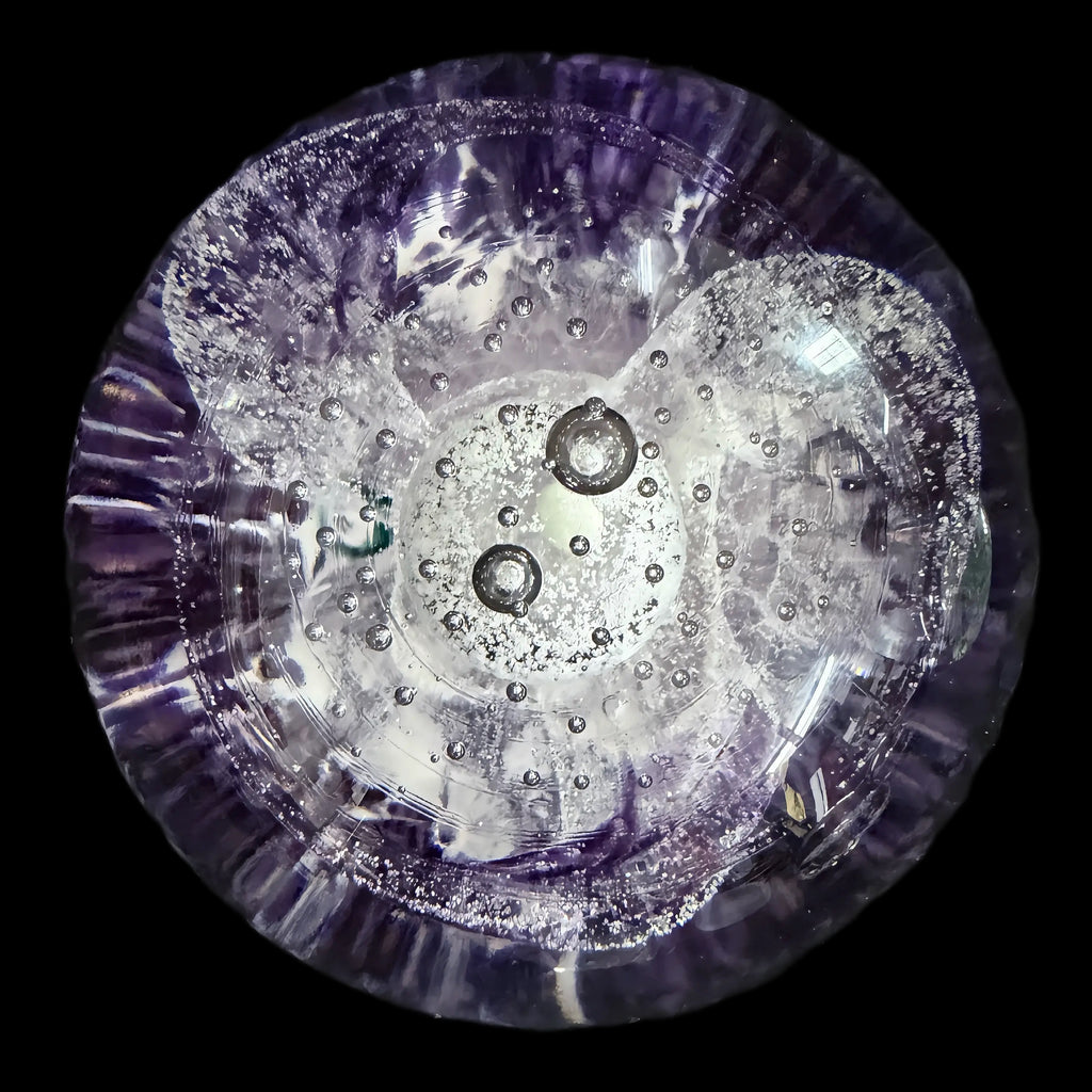 Purple Whisp, 2025