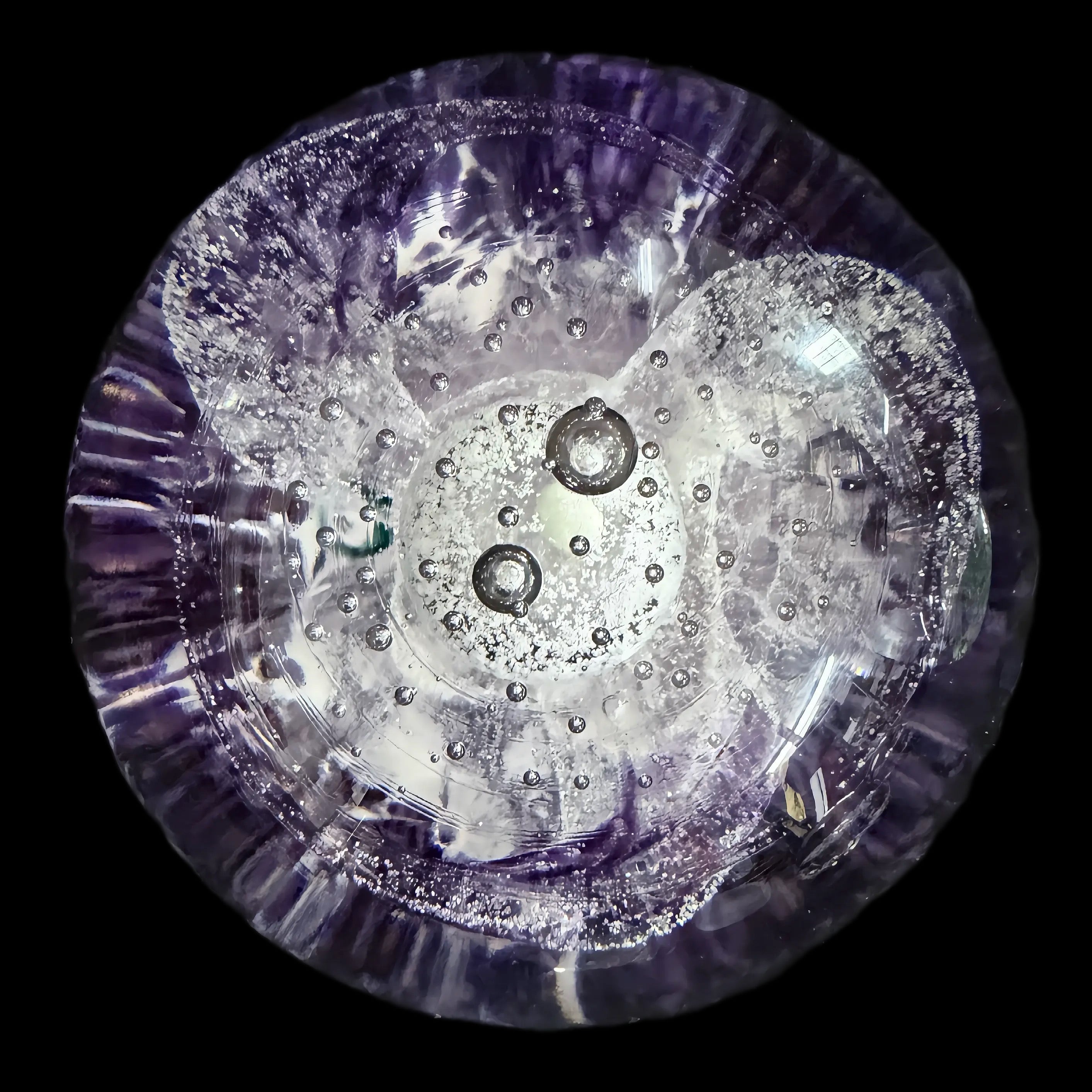 Purple Whisp, 2025